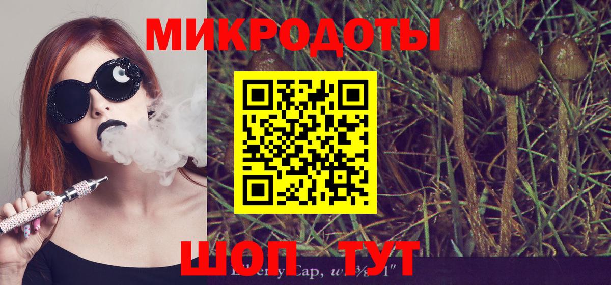 Псилоцибиновые грибы Psilocybe Краснотурьинск